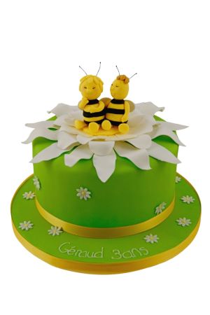 Maya  and Willy birthday cake
