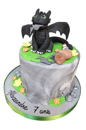 Toothless Dragons birthday cake