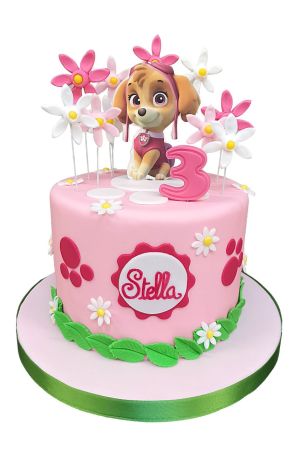 Paw Patrol Skye birthday cake
