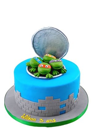 Ninja Turtles birthday cake
