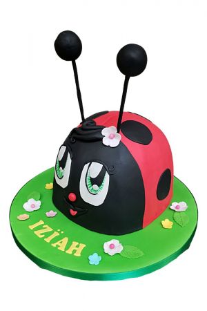 Bugs fan birthday cake