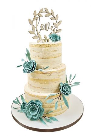Naked cake mariage succulentes